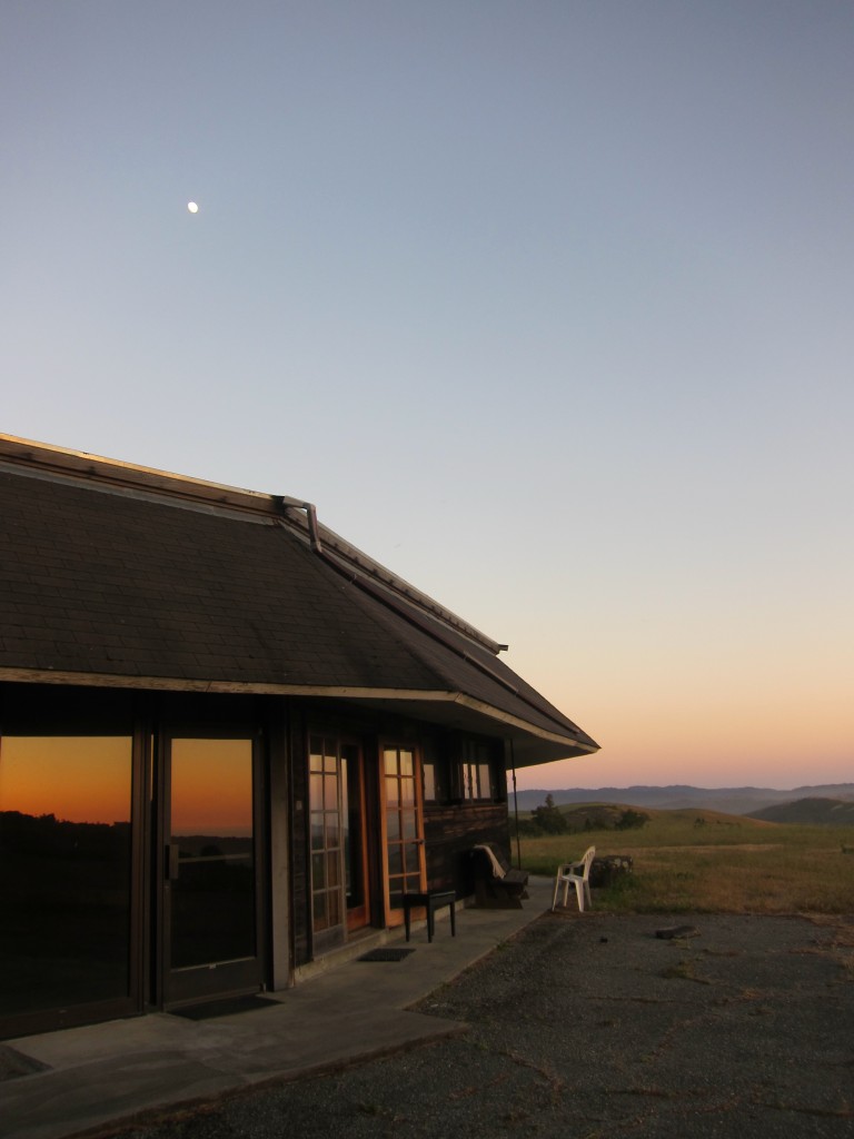 Djerassi