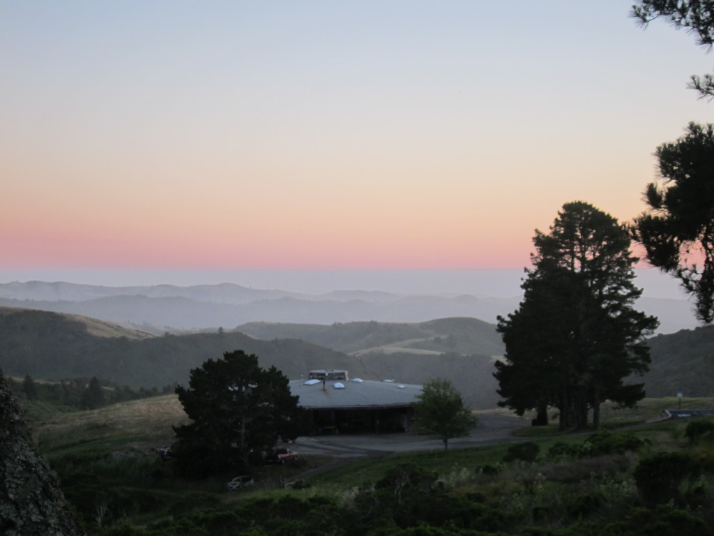 Djerassi